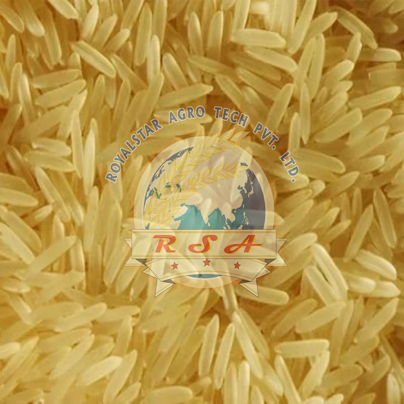 Sharbati Basmati Rice Golden